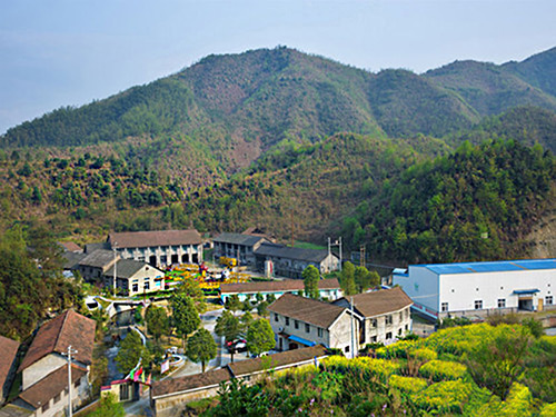 热烈祝贺玩球官方网站正式上线! 热烈祝贺玩球官方网站正式上线!